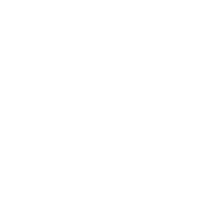 Adventure Bike Rider